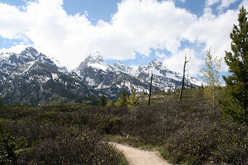 Where will your writing journey take you?