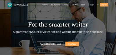 ProWritingAid website