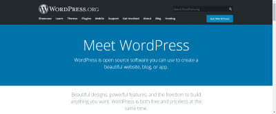 WordPress website