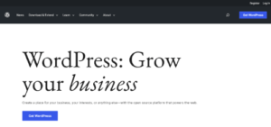 WordPress home page
